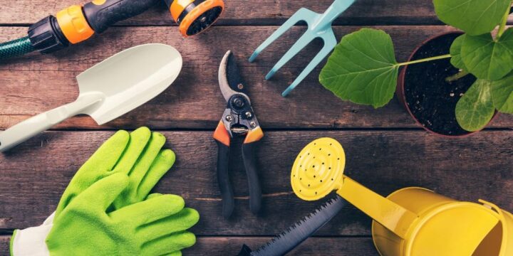 What are the Best Ergonomic Garden Tools for Seniors and Why Are They Necessary?