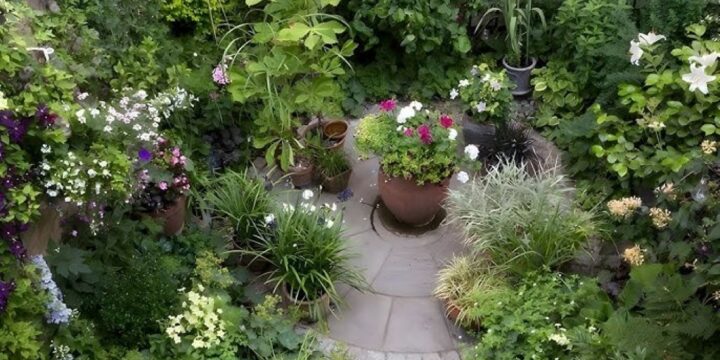 What’s the fastest way to start home gardening as a beginner?