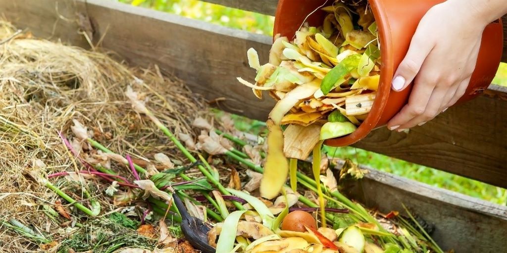 Are native plants always better for sustainable gardening?