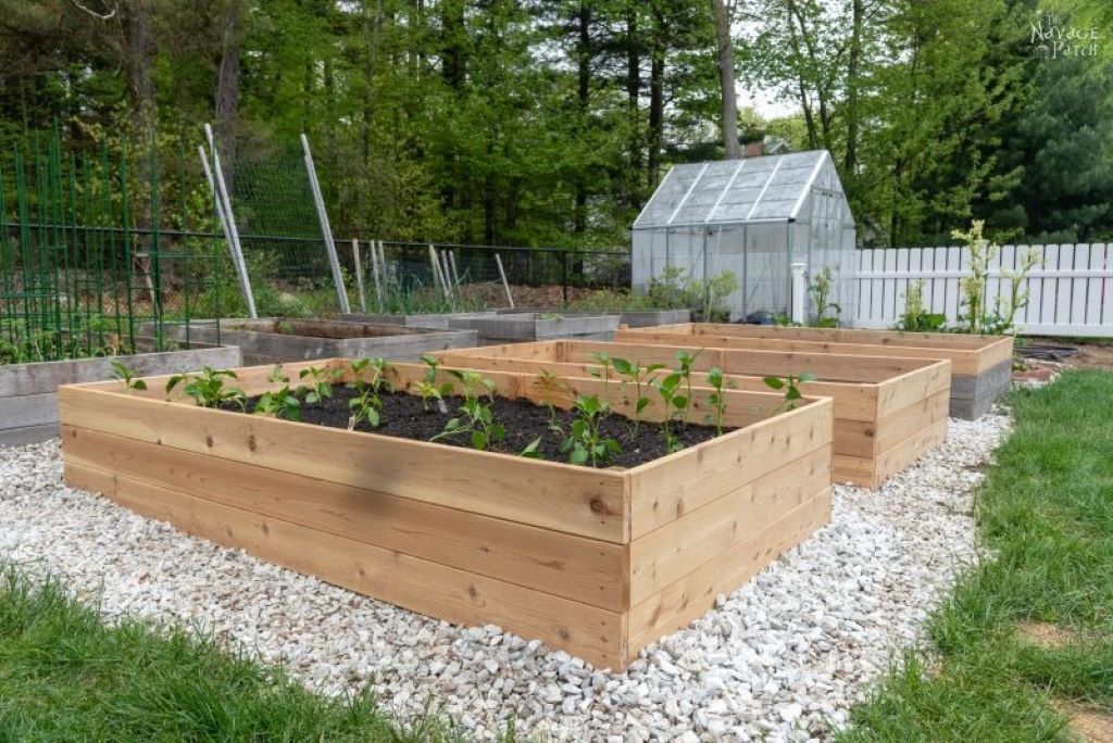 What’s the best wood for raised garden beds?