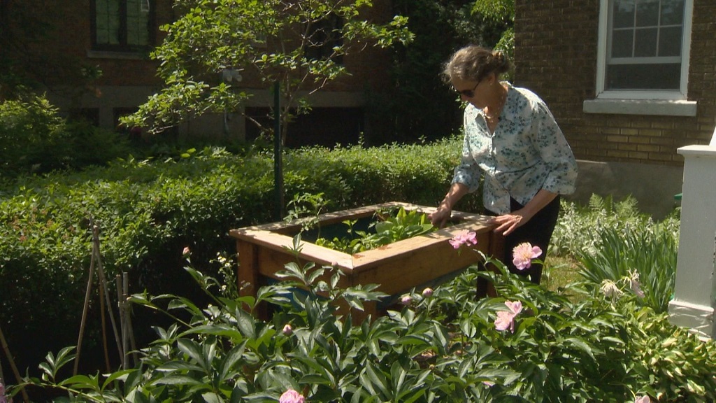 How do neighbors typically react to front yard vegetable gardens
